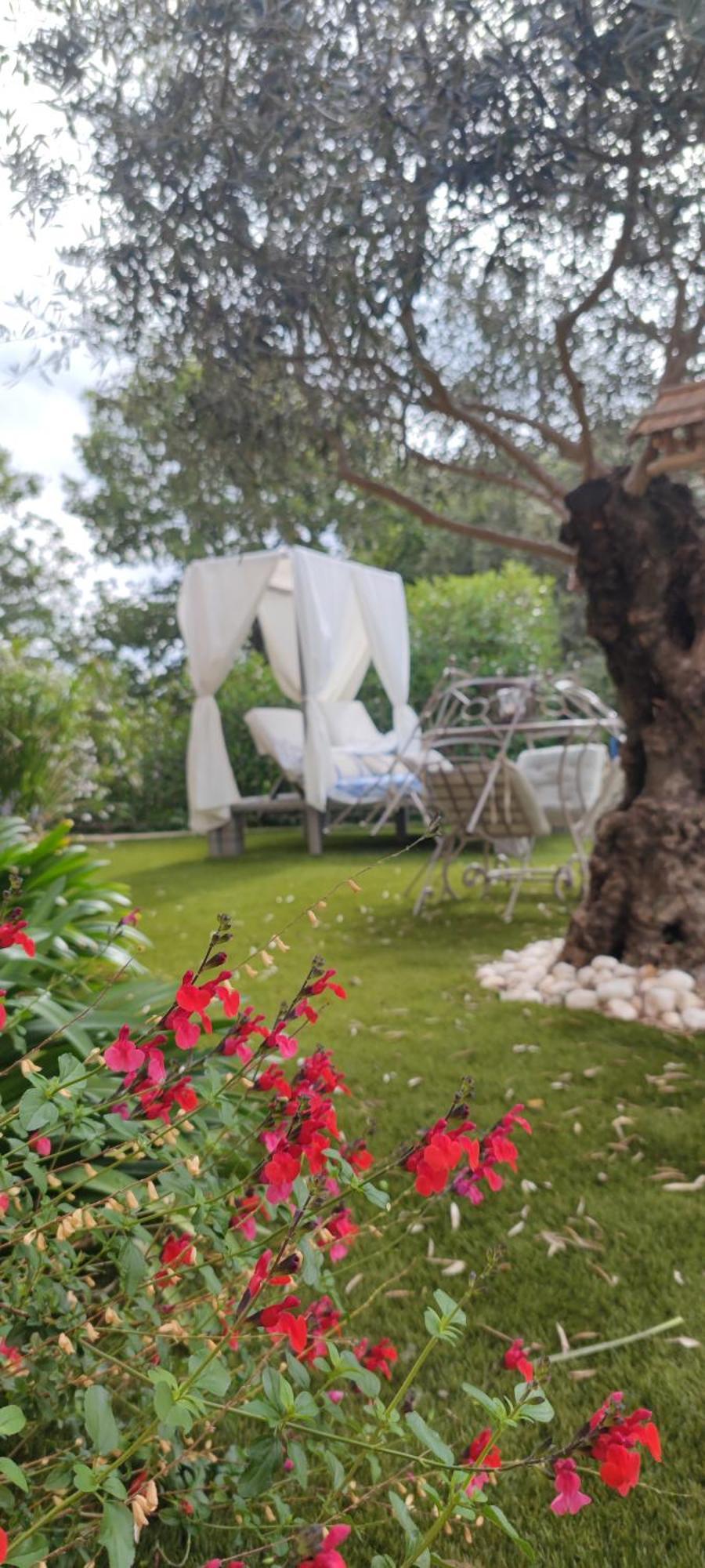 Garéoult La Chabertine B&B 외부 사진