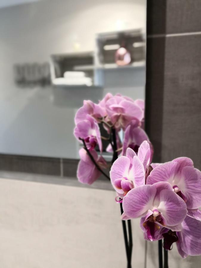 Garéoult La Chabertine B&B 외부 사진